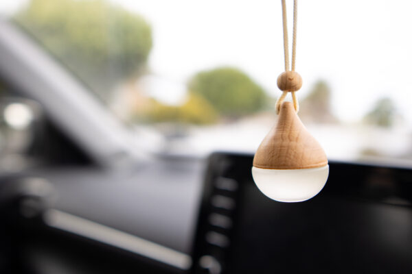 Scented Car Air Diffuser